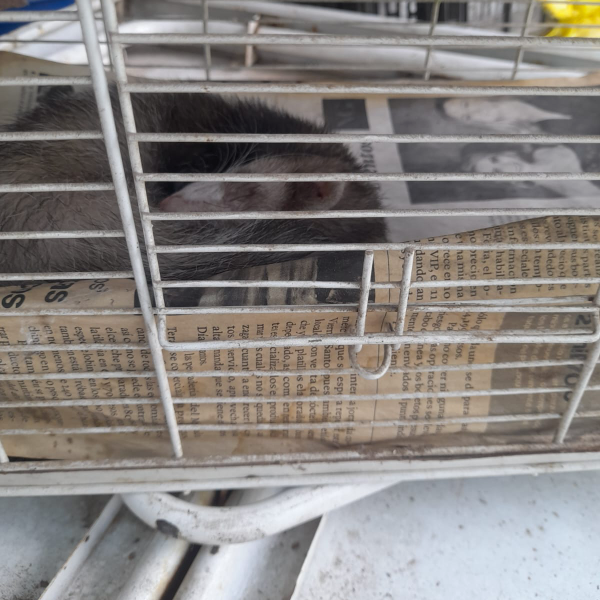 cartel de otro encontrado