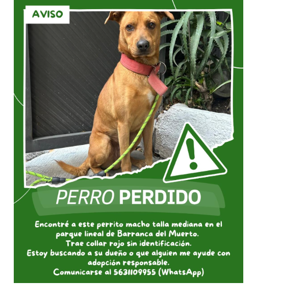 cartel de perro en_adopcion