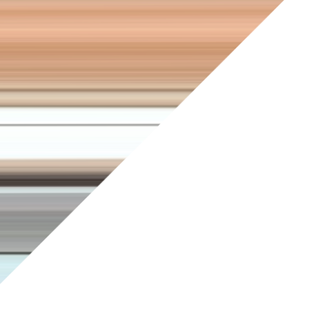 cartel de perro perdido