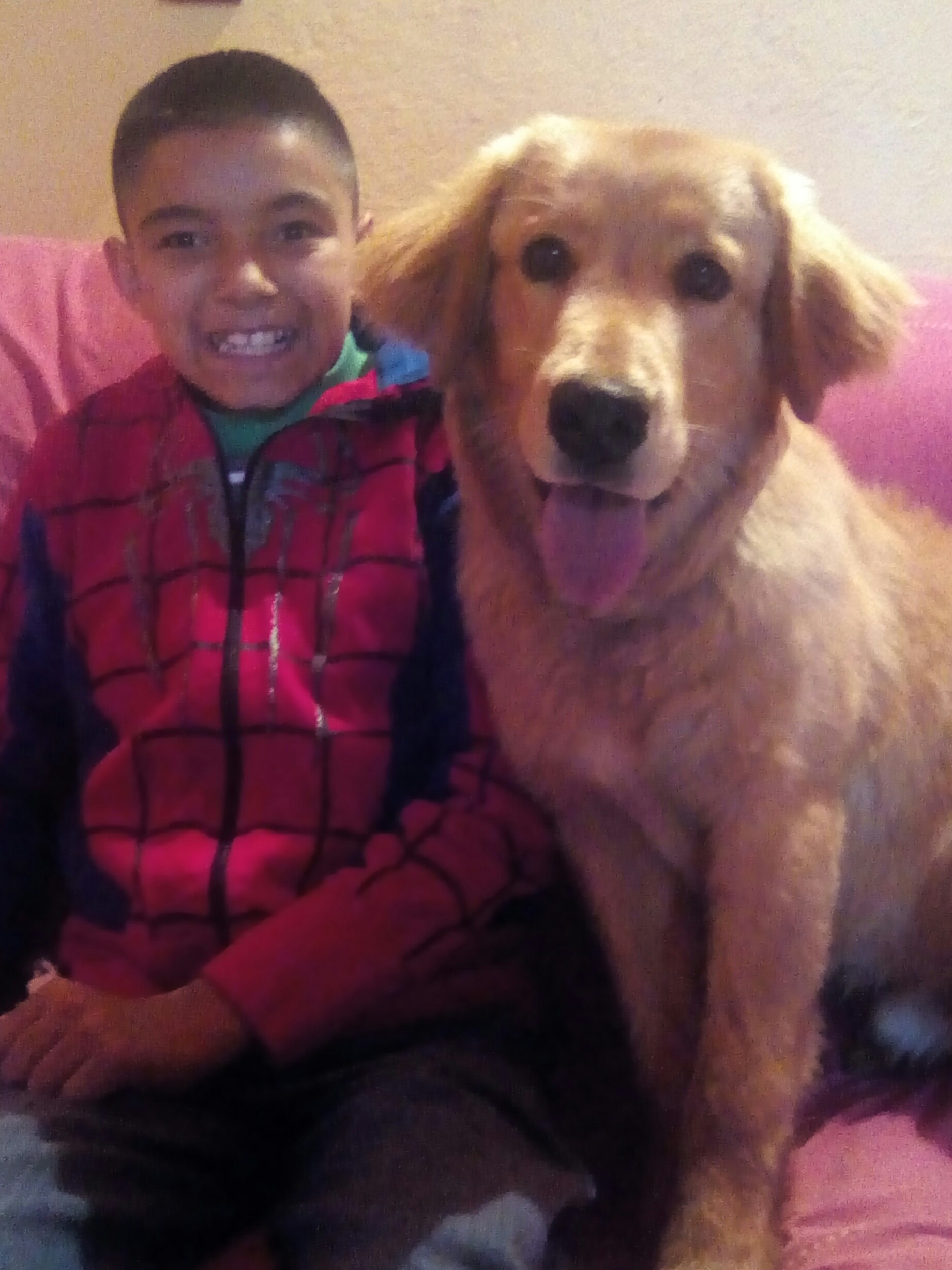 cartel de perro perdido